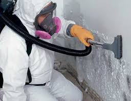 Best Emergency Mold Remediation  in Eggertsville, NY